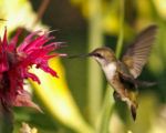 David Donahue's Photo