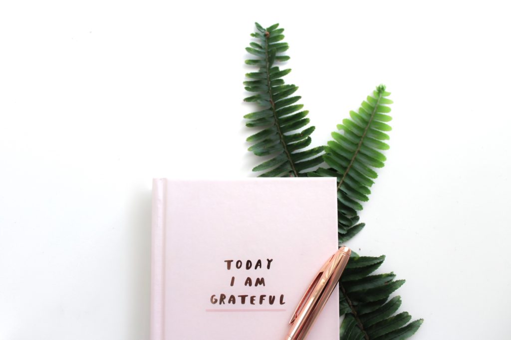 Creative Muse Gratitude journal
