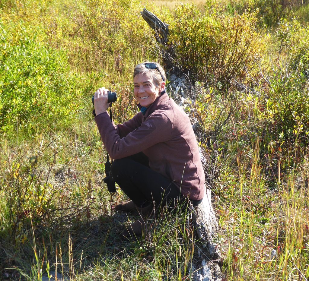 Writer and environmental activist Louisa Willcox. 