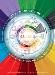 Bestercise - True Body Intelligence