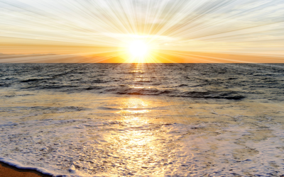 Transform Your Life With This Daily Affirmation