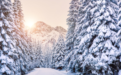 How to Stay Energized this Winter