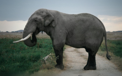 How to Stop Hindering Your Progress